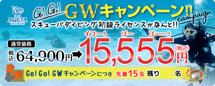 【Go!Go!GWキャンペーン】スキューバダイビング初級ライセンスが 15,555円！ （先着15名様）