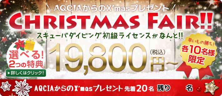 【先着20名様限定】冬のクリスマスフェア！スキューバダイビングの初級ライセンスがなんと19800円！