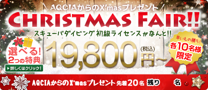 【先着20名様限定】冬のクリスマスフェア！スキューバダイビングの初級ライセンスがなんと19800円〜！