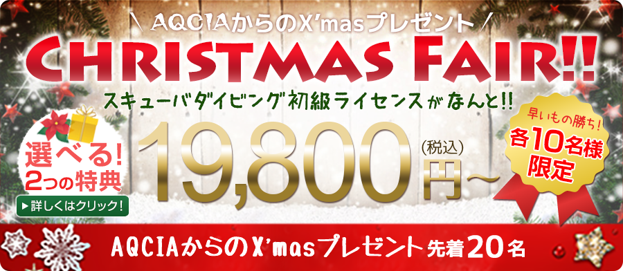 【先着20名様限定】冬のクリスマスフェア！スキューバダイビングの初級ライセンスがなんと19800円！