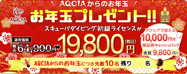 AQCIAからのお年玉プレゼント！スキューバダイビング初級ライセンスが 19,800円 先着10名様