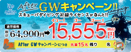 After GWキャンペーン スキューバダイビング初級ライセンスが 15,555円  先着15名様