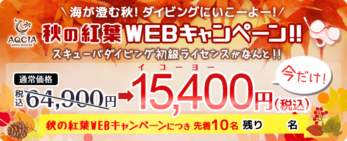 【先着10名様限定】秋の紅葉WEBキャンペーン！スキューバダイビングの初級ライセンスがなんと15400円！