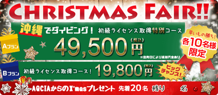 【先着20名様限定】冬のクリスマスフェア！スキューバダイビングの初級ライセンスがなんと19800円〜！