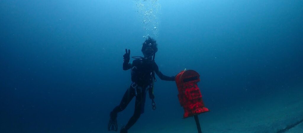 サムネイル：IOP