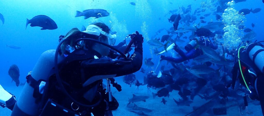 サムネイル：サメ好きと行く！shark scramble
