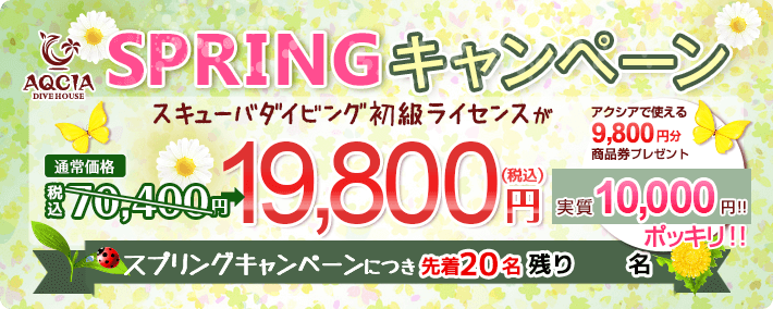 SPRINGキャンペーン スキューバダイビング初級ライセンスが 19,800円 商品券9800円プレゼント実実質10,000ポッキリ 先着20名様