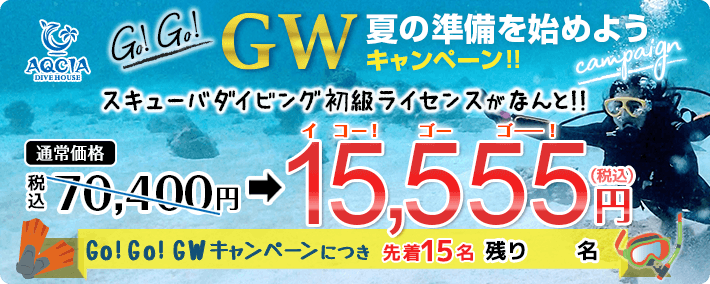 【Go!Go!GW 夏の準備を始めようキャンペーン】スキューバダイビング初級ライセンスが 15,555円！ （先着15名様）
