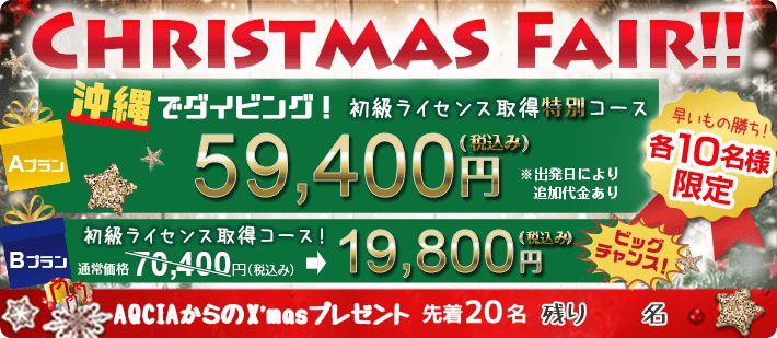 【先着20名様限定】冬のクリスマスフェア！スキューバダイビングの初級ライセンスがなんと19800円！