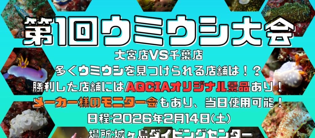 サムネイル：第1回 ウミウシ大会