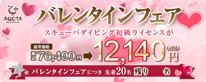 バレンタインフェア スキューバダイビング初級ライセンスが 12,140円 両店合計20名様